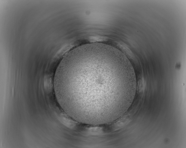 X0000092090426200709191249