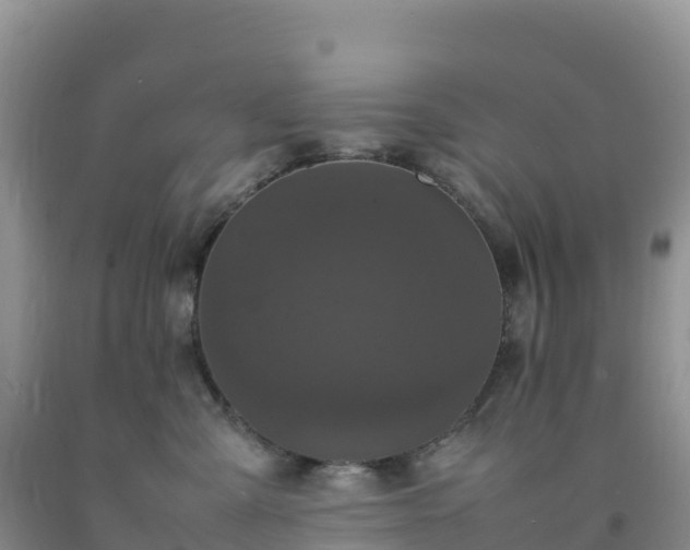 X0000092090427200709191249
