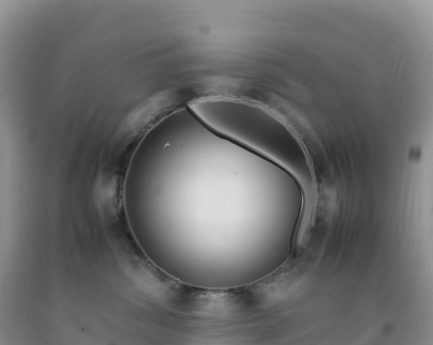 X0000092090428200709191249