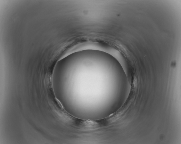 X0000092090429200709191249