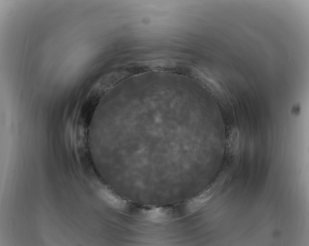 X0000092090430200709191249