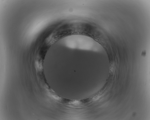 X0000092090431200709191249