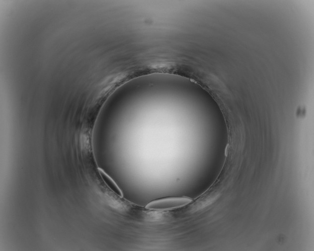 X0000092090432200709191249