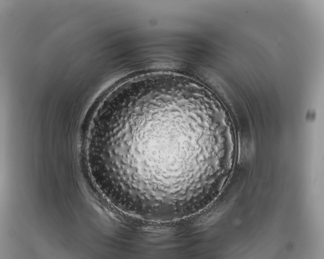 X0000092090435200709191249