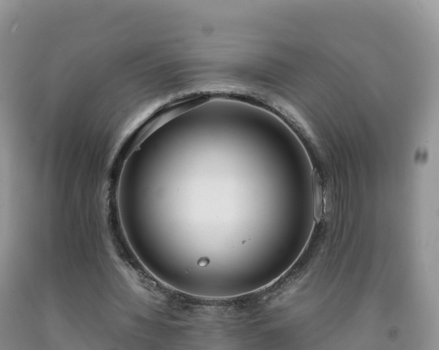 X0000092090436200709191249