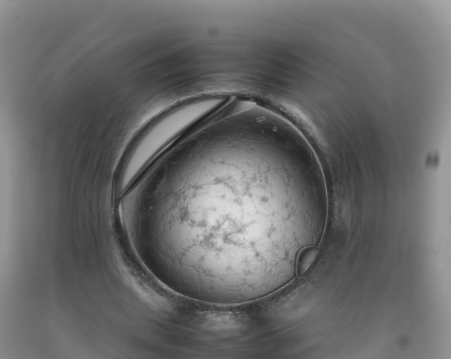X0000092090439200709191249