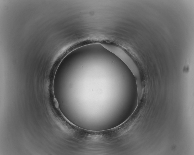 X0000092090440200709191249