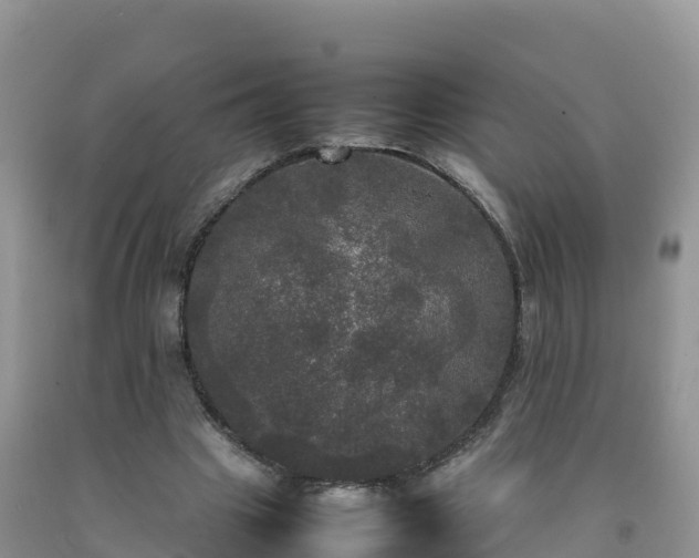 X0000092090441200709191249