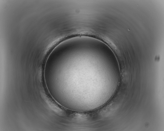 X0000092090442200709191249