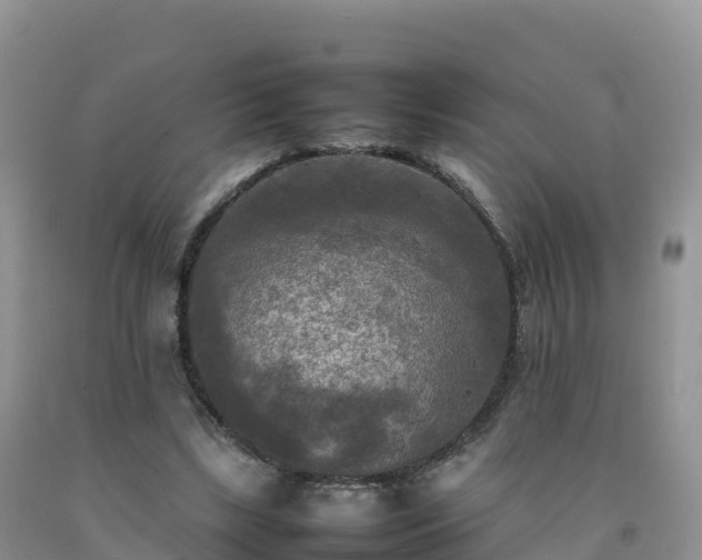 X0000092090443200709191249