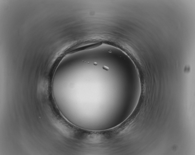 X0000092090444200709191249