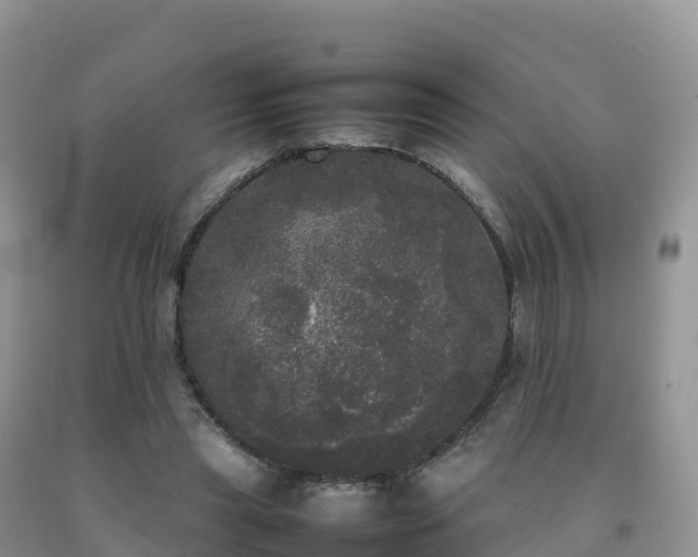 X0000092090445200709191249