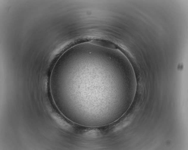 X0000092090446200709191249