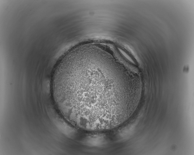 X0000092090447200709191249