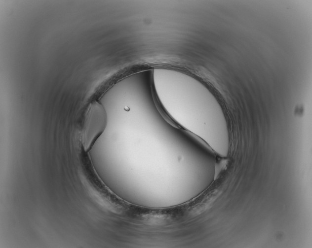 X0000092090448200709191249
