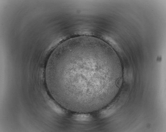 X0000092090449200709191249