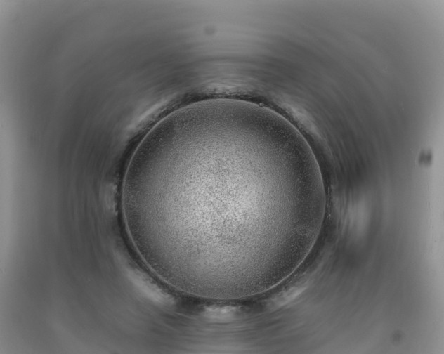 X0000092090450200709191249