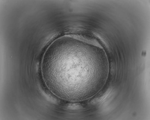 X0000092090451200709191249
