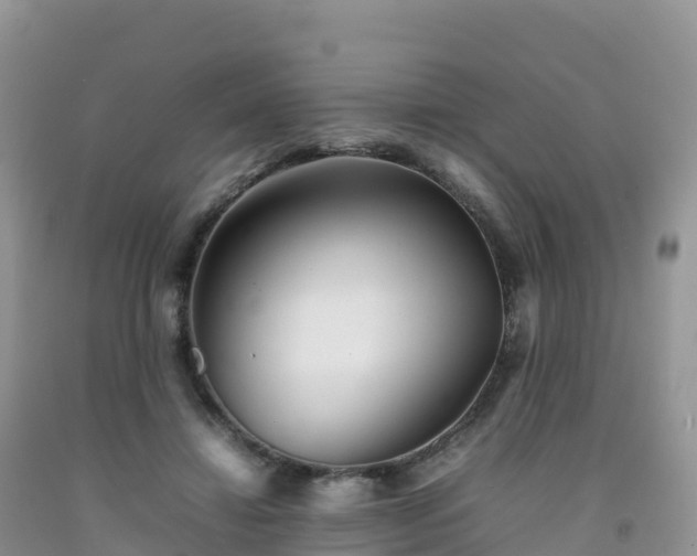 X0000092090452200709191249