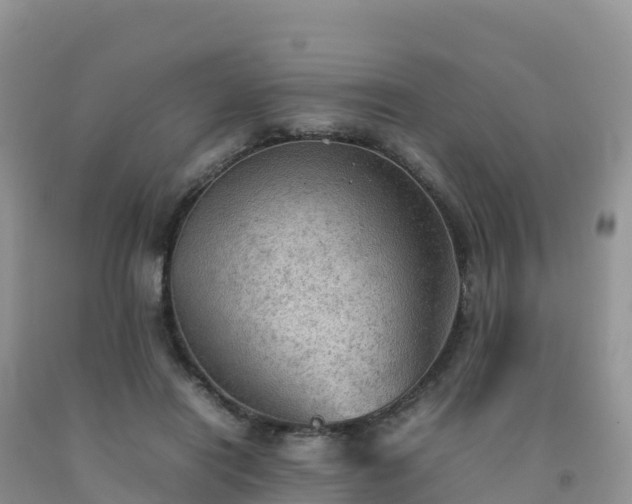 X0000092090454200709191249