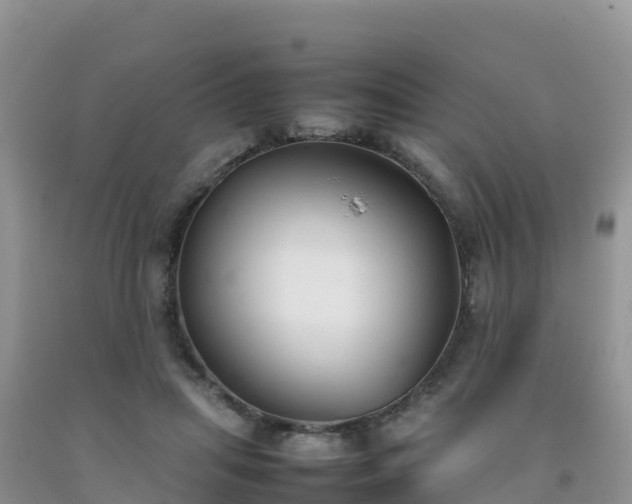 X0000092090455200709191249