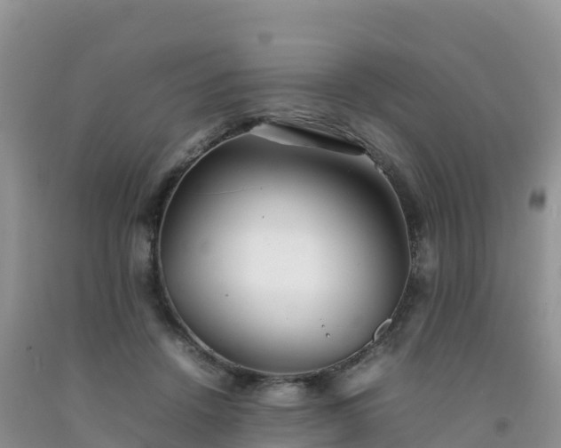 X0000092090456200709191249