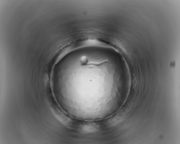 X0000092090459200709191249