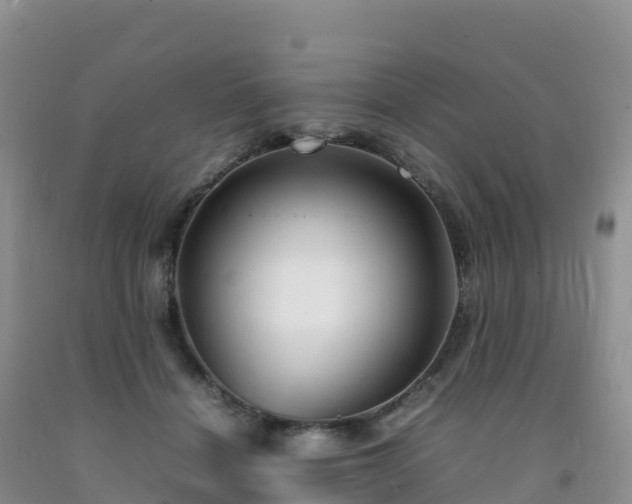 X0000092090460200709191249