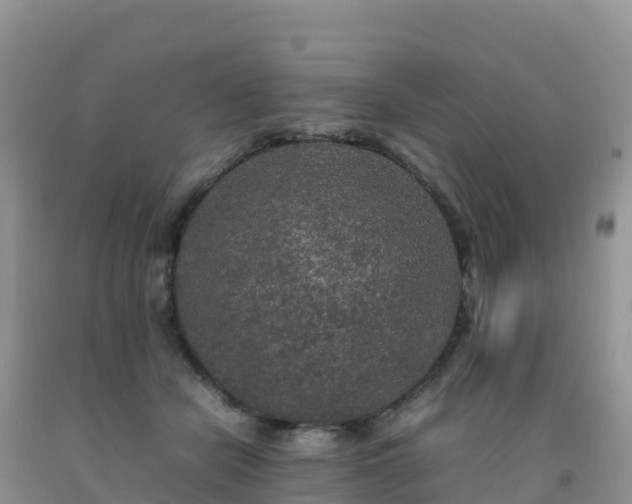 X0000092090462200709191249