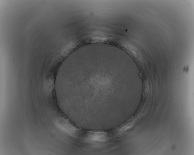 X0000092090463200709191249