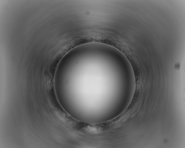 X0000092090464200709191249