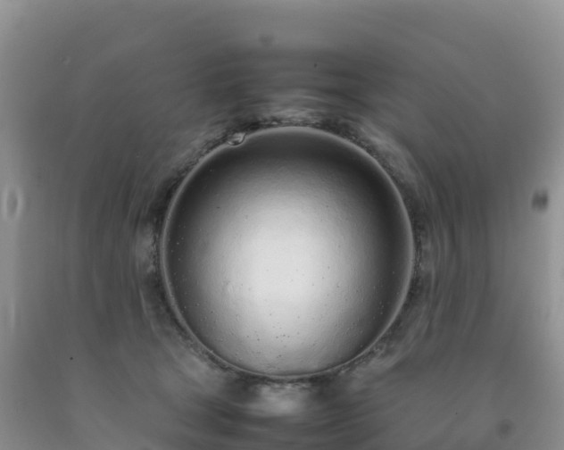 X0000092090465200709191249