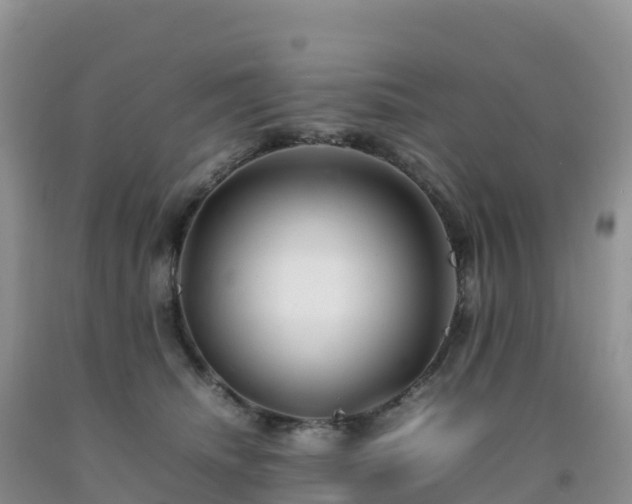 X0000092090468200709191249
