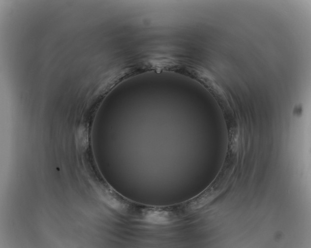 X0000092090471200709191249