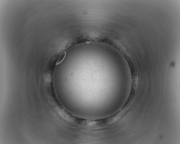 X0000092090472200709191249