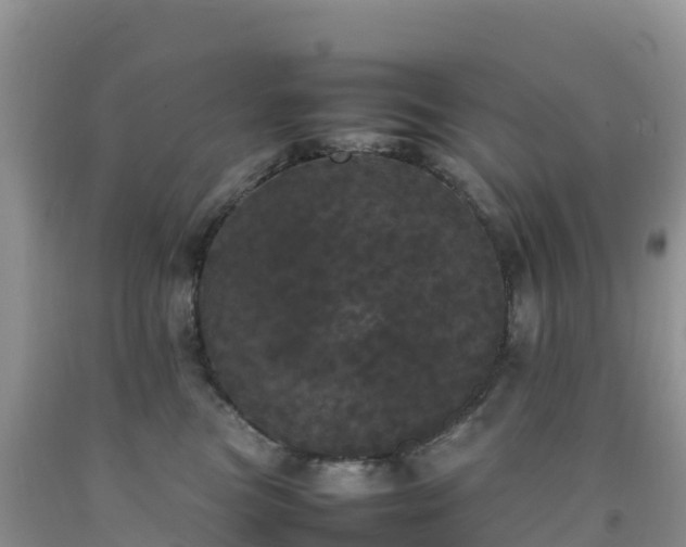 X0000092090473200709191249