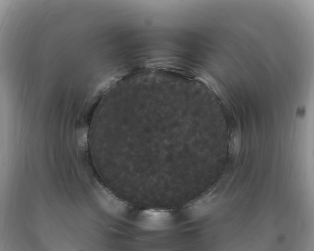 X0000092090477200709191249