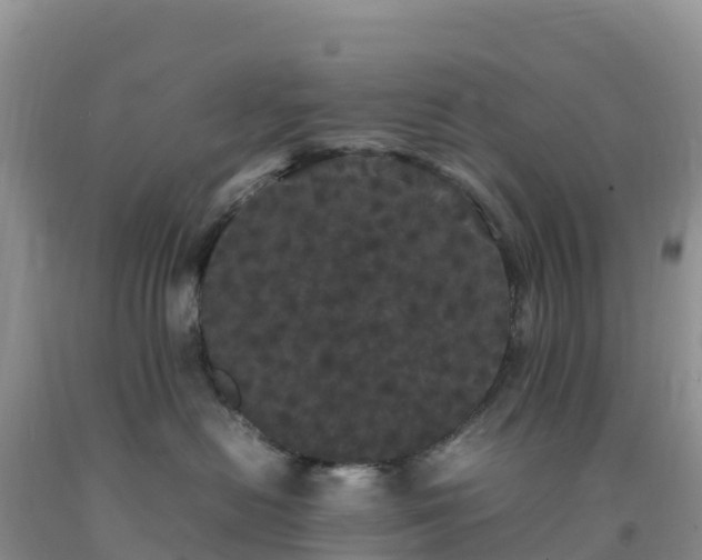 X0000092090478200709191249