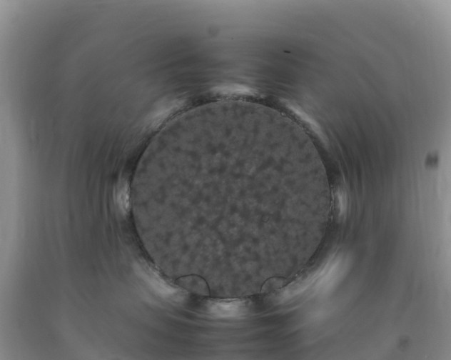 X0000092090479200709191249