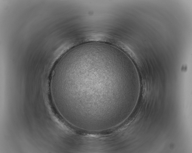 X0000092090482200709191249