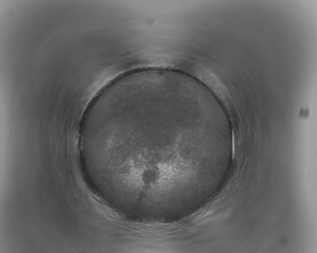 X0000092090483200709191249