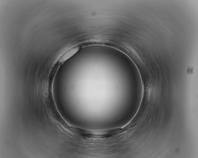 X0000092090484200709191248