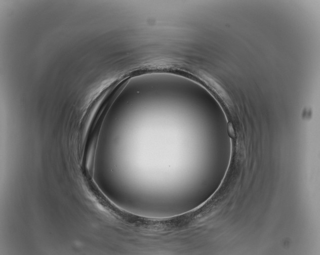 X0000092090485200709191248