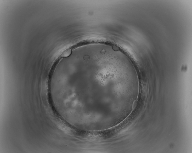 X0000092090487200709191248
