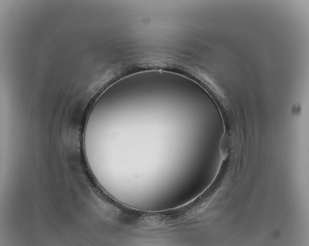 X0000092090489200709191248