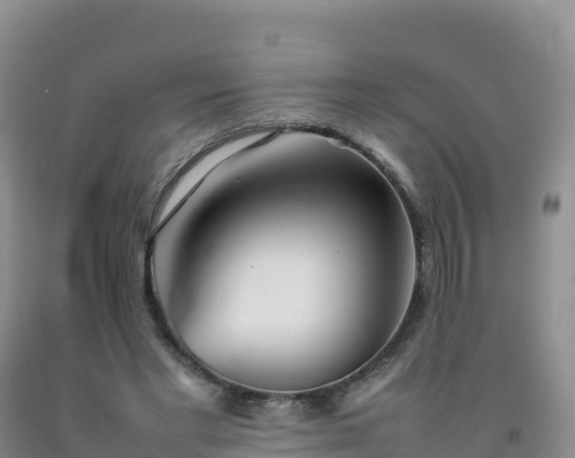 X0000092090493200709191248