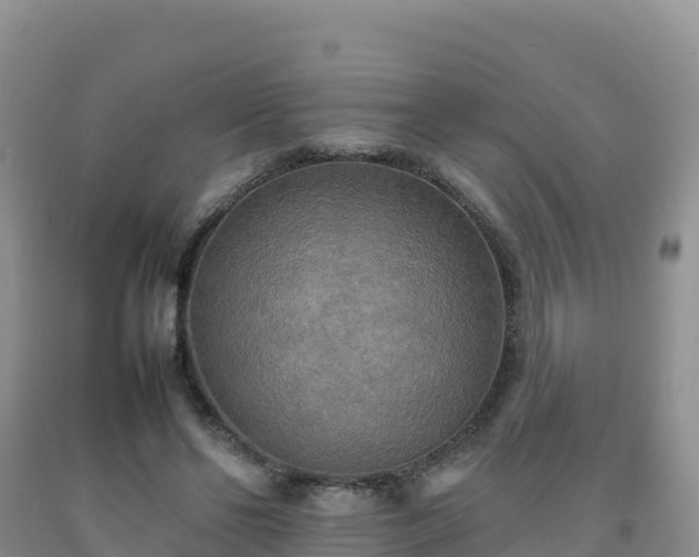 X0000092090494200709191248