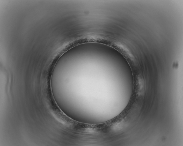 X0000092090496200709191248