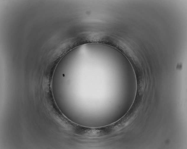 X0000092090497200709191248