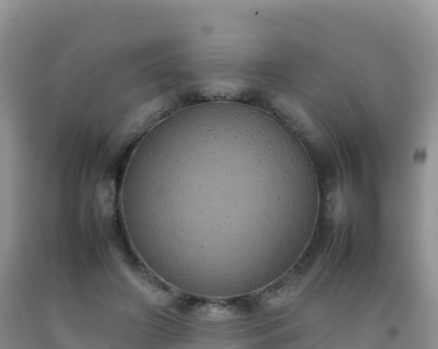 X0000092090498200709191248